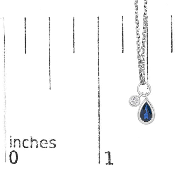 99530TGNKSPWG PR scale