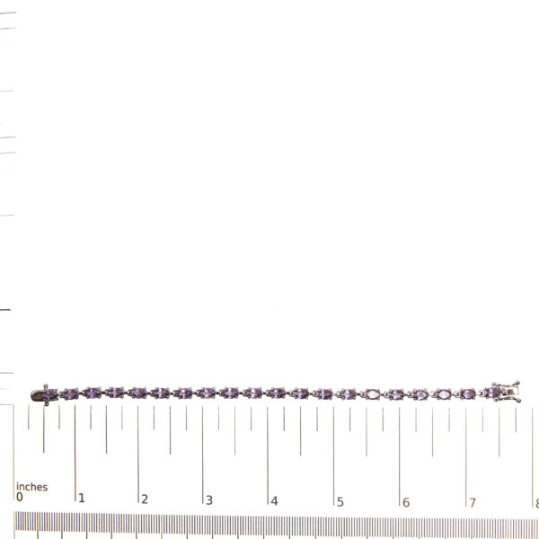 AB102AMS scale