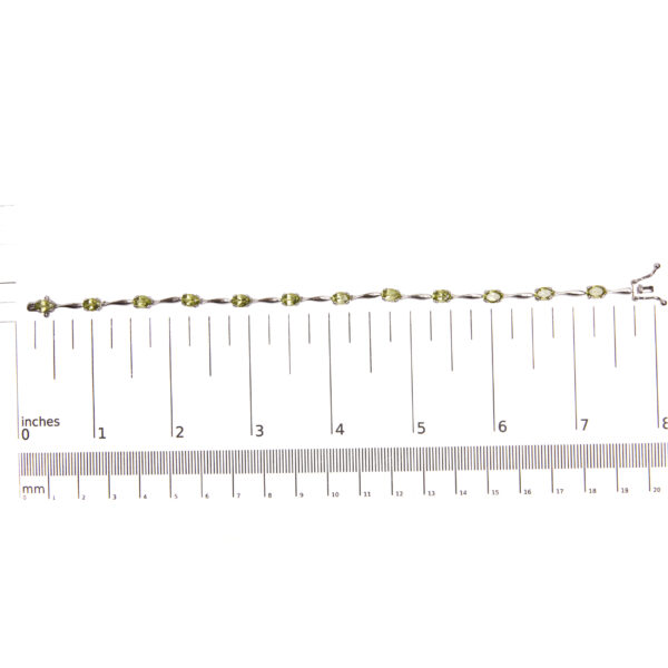 B10513PES scale