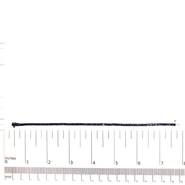 BR5001CSOS scale