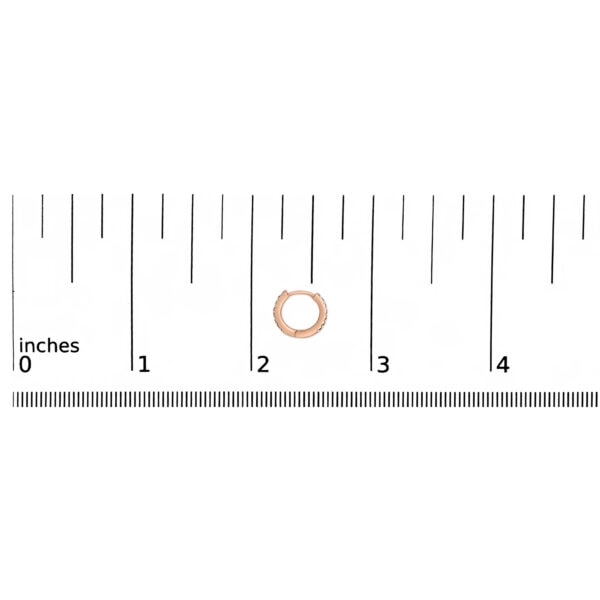 ERF59666 scale