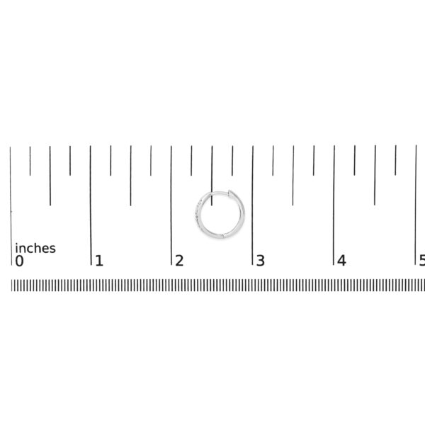 ERH61604LD scale