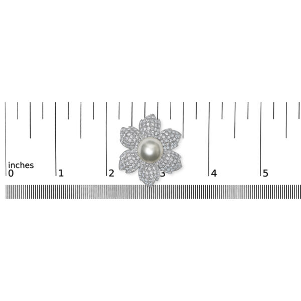 MGC1006 scale