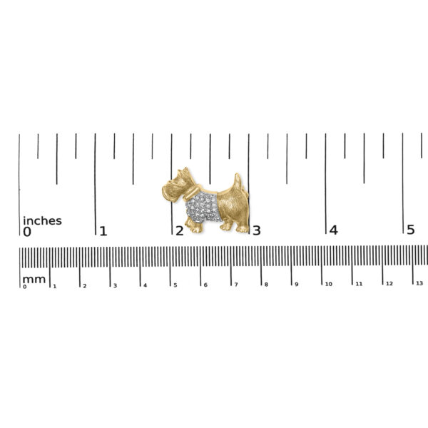 MGC1100 scale