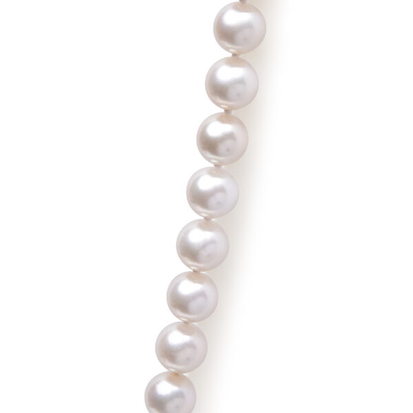 NC885 Y 2