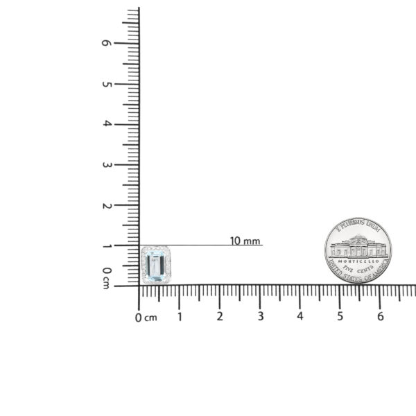 NEAQ4435 001 4 scale