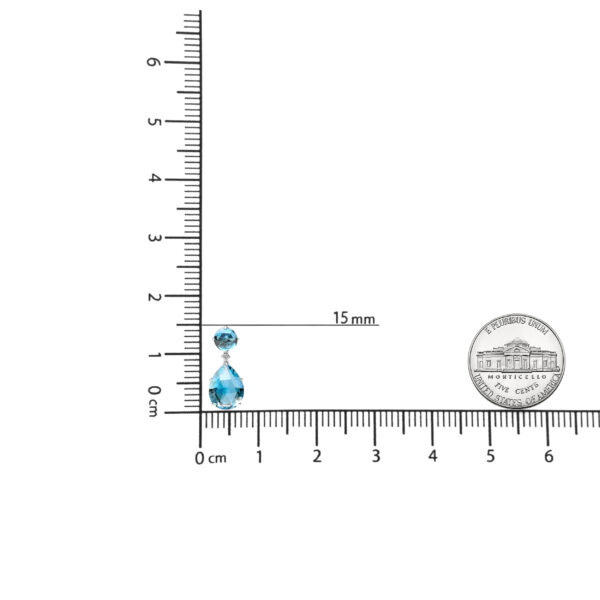 NEXS13071 003 scale