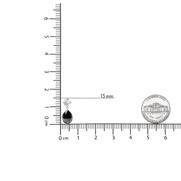 NEXS13071 005 scale