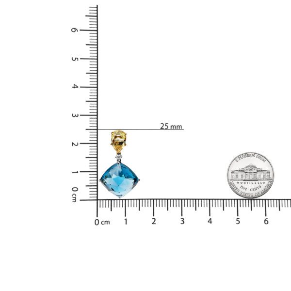NEXS13077 001 scale