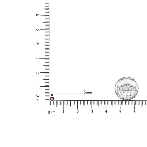 NEXS13149 002 1 scale