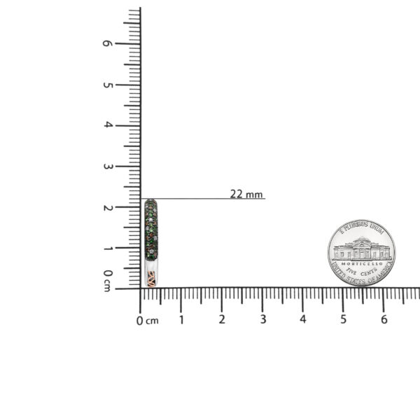 NEXX11153 001 1 scale