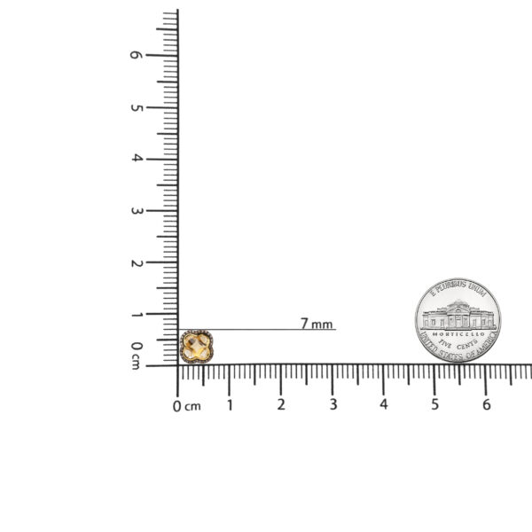 NEXX21475 001 1 scale