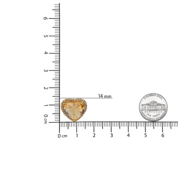 NEXX6599 001 1 scale
