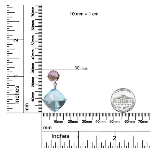 NPXS13070 004 1 scale