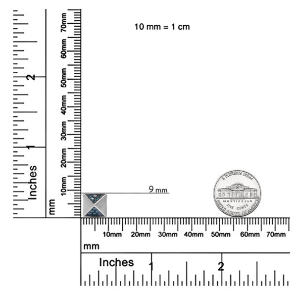 P104WBL scale