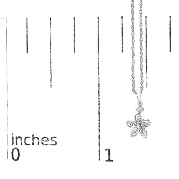 PDF61253 scale