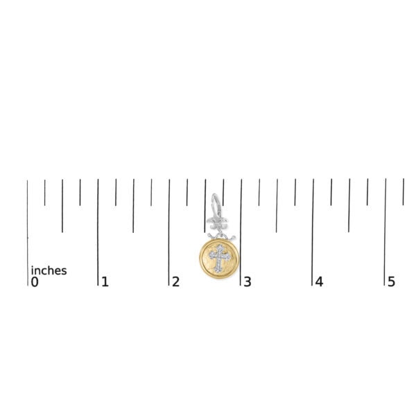 SE73 scale
