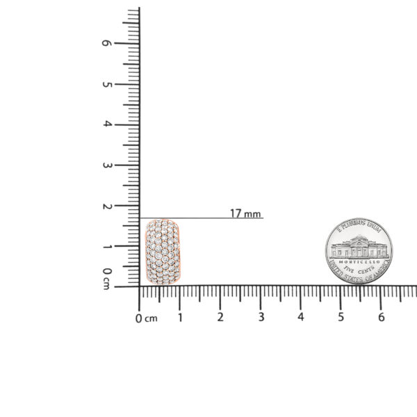 ZEDB8959 001 scale