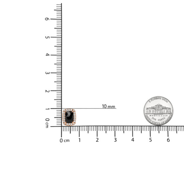 ZEOX11642 001 scale