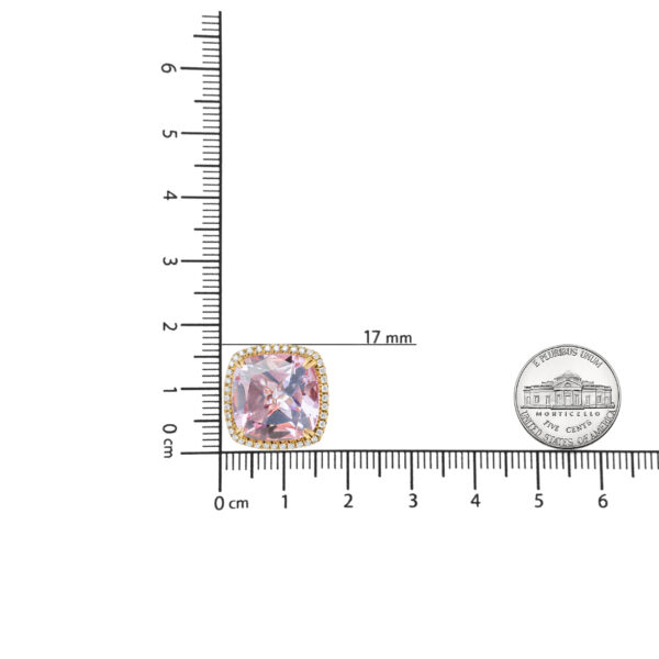 ZEQF9273 001 1 scale