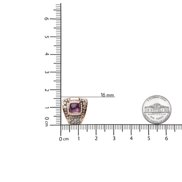 ZEXX25107 001 scale
