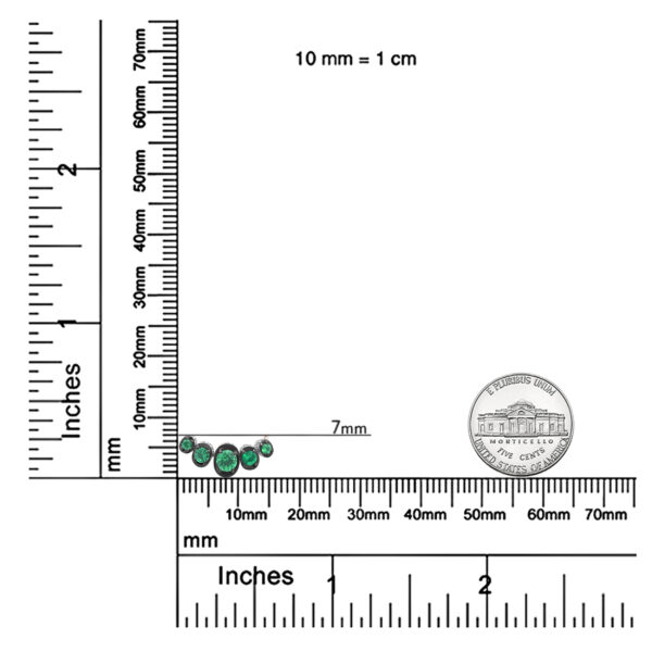 ZNSV24657 001 scale