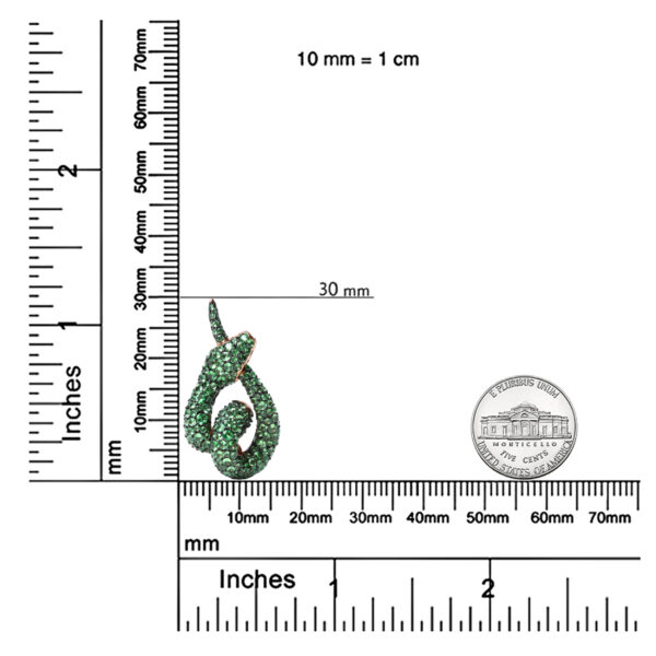 ZPSV24698 001 scale