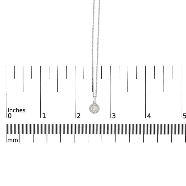 565A9TSPDWPWG scale