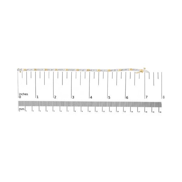60 5407Y scale