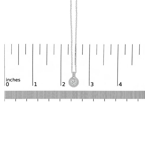 80 8838WLD scale