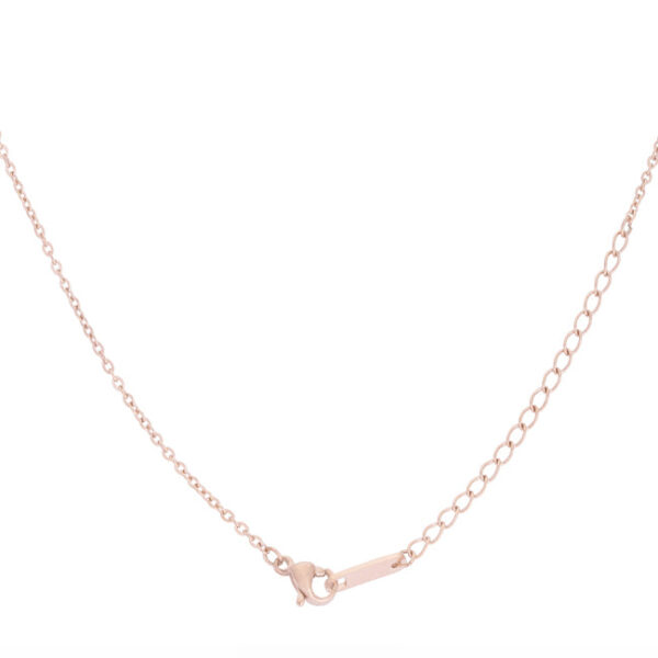 Close-up of the arrow pendant showing the rose goldtone plated surface and link chain