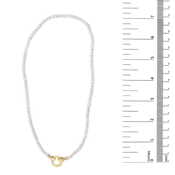 N4025SYPL MA scale