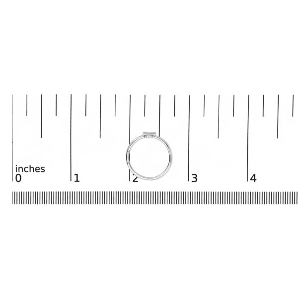 365D9TSWG A scale