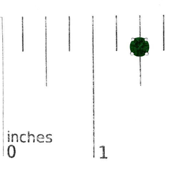70 6008WLG scale
