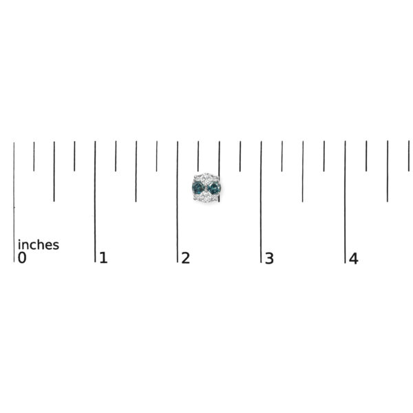 70 6017WBD scale