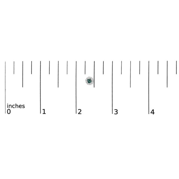 70 7780WBD scale