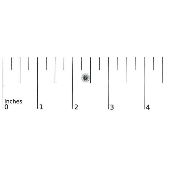 70 7781WBD scale