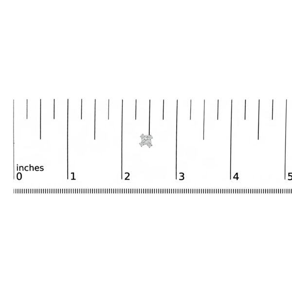 70 7838WLD scale