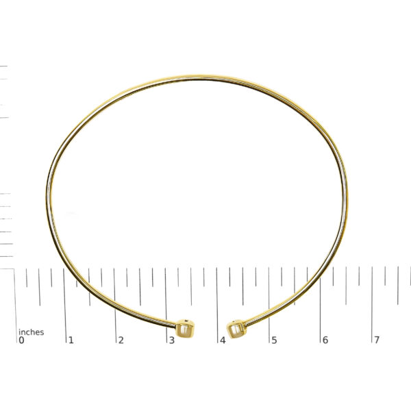 LBG2066SSYV scale