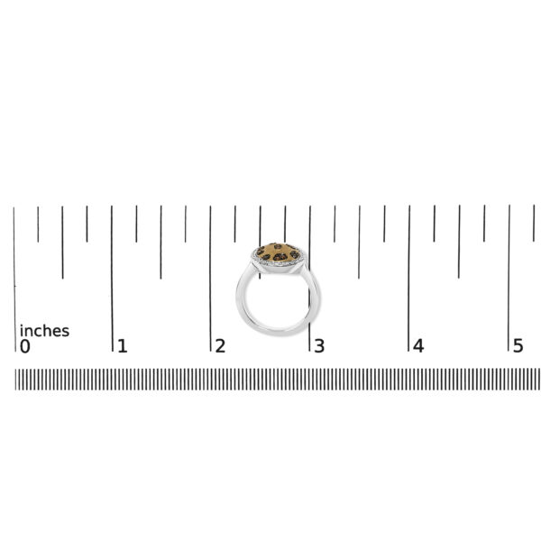 R1164910KYSSBW scale