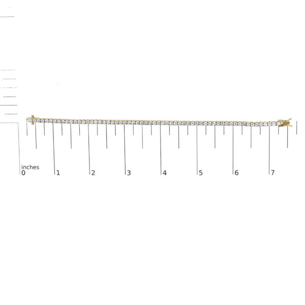 T500 274YCL EEQ scale