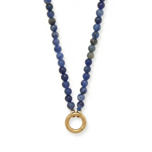 18 18 Karat Gold PVD Stainless Steel Sodalite Inverted Hinge Necklace