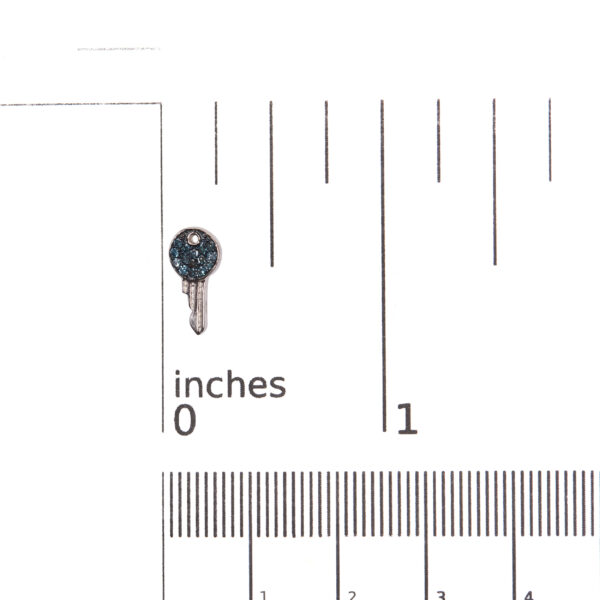 70 6521WBD scale