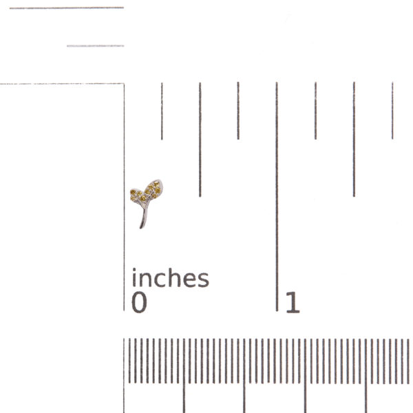 70 6525WYD scale