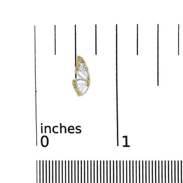70 6529WYD scale