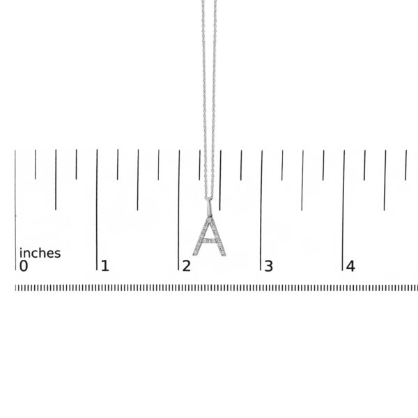 85678SSSLPD A scale