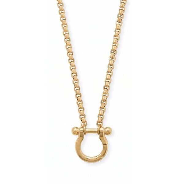 18 + 2 18 Karat Gold PVD Stainless Steel Horseshoe Carabiner Necklace