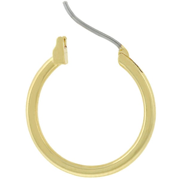 Small hoop earrings with lever backings and gold tone finish over lead free alloy (brass).