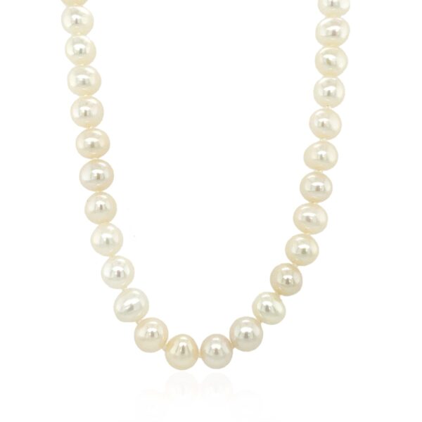 14k Yellow Gold Necklace with White Freshwater Cultured Pearls (6.0mm to 6.5mm) - alternate view 2