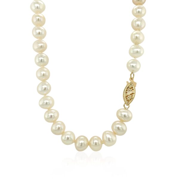 14k Yellow Gold Necklace with White Freshwater Cultured Pearls (6.0mm to 6.5mm) - alternate view 3
